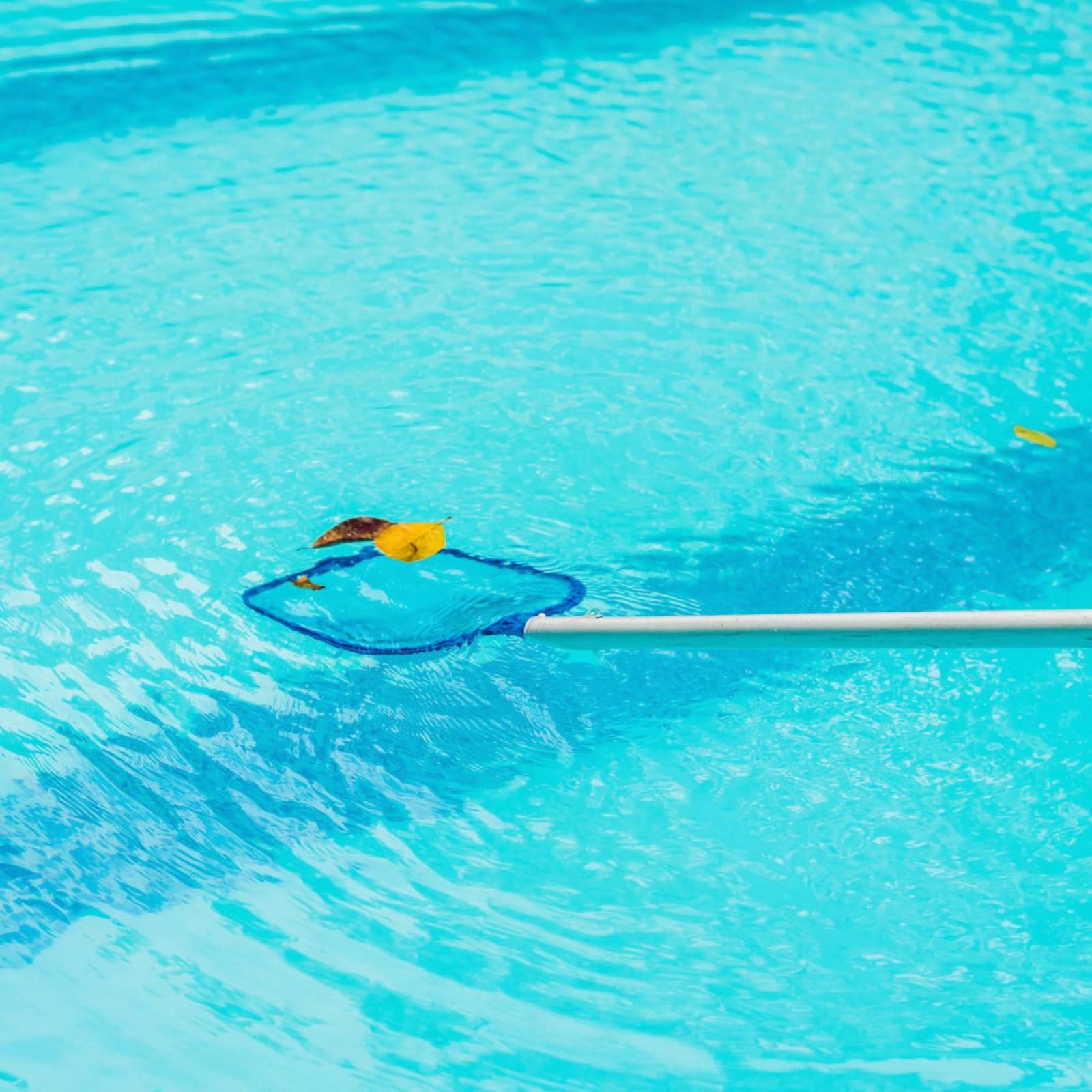 분리 가능한 수영장 잎사귀망 네트, 사용하기 쉬운 폴이 - Pool Skimmer Net 리뷰 및 가격