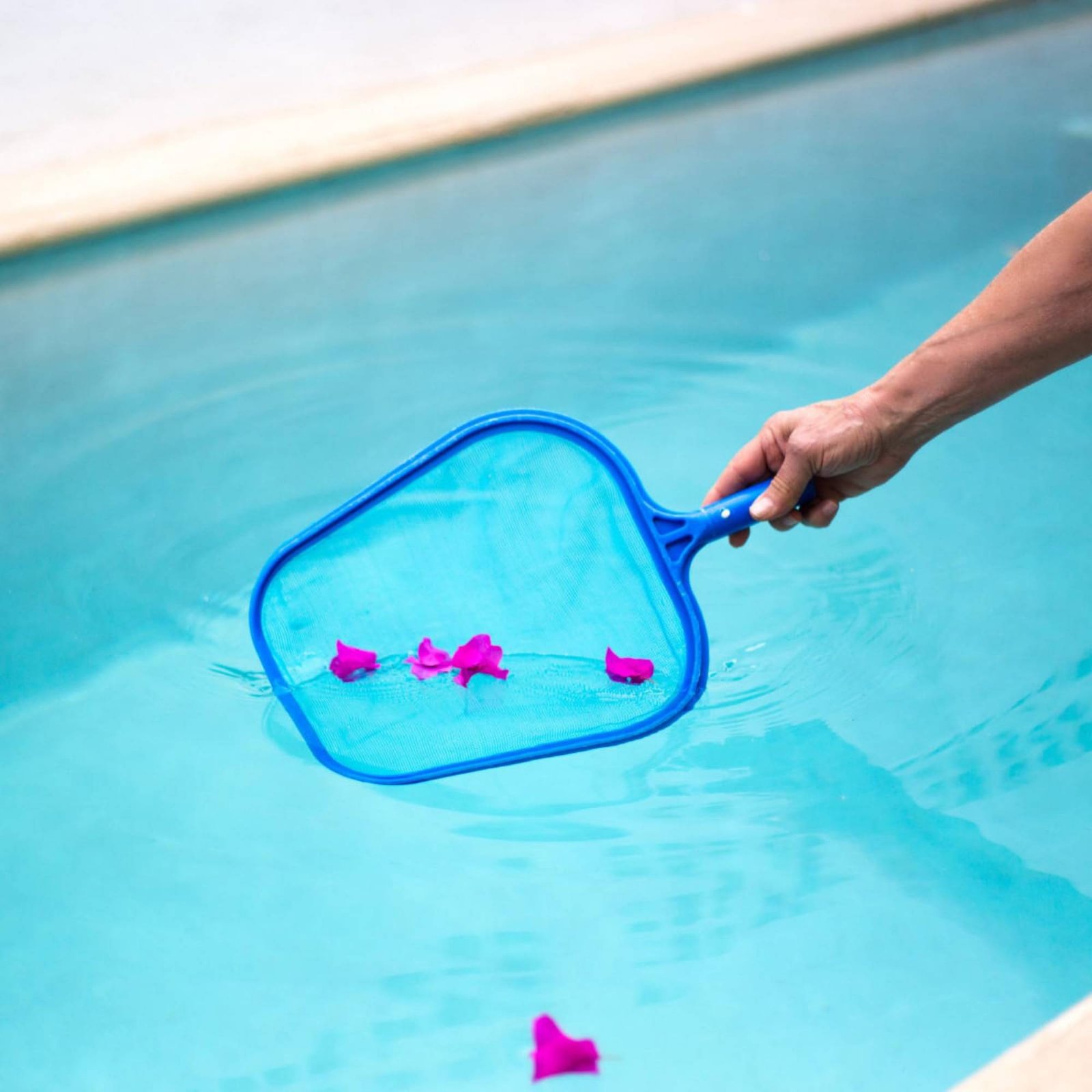 분리 가능한 수영장 잎사귀망 네트, 사용하기 쉬운 폴이 - Pool Skimmer Net 리뷰 및 가격